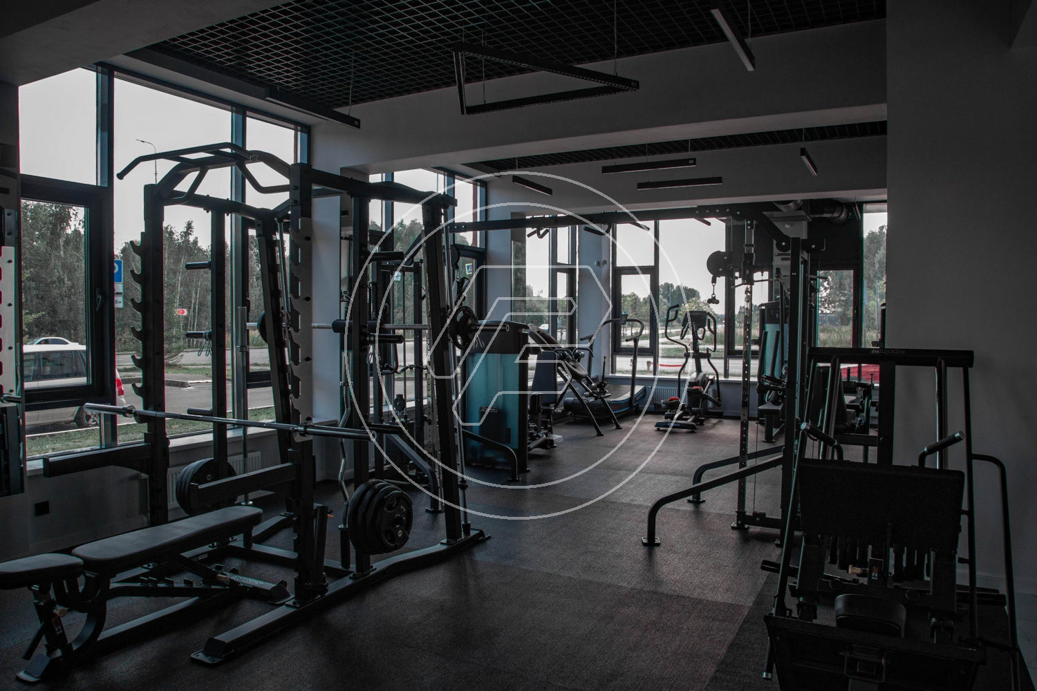 Fitness & wellness